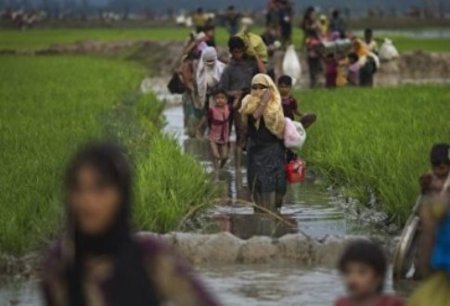 Евросоюз пересмотрит сотрудничество с Мьянмой из-за ситуации с рохинджа