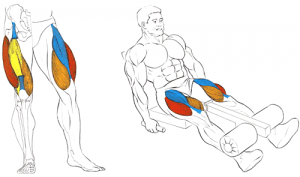 Лучшие упражнения для четырехглавой мышцы бедра после травмы колена