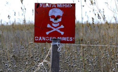 ОБСЕ назвала Донбасс самым заминированным регионом мира