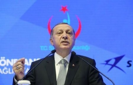 Эрдоган обвинил США в «попытках втянуть мир в экономическую войну»