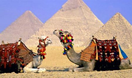 Египет открыли для туристов в 2018 году или нет — сообщили СМИ 