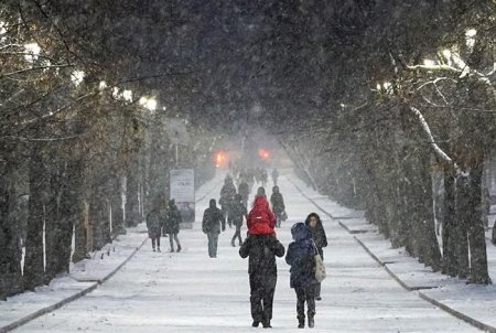 Погода в Москве сегодня 4 декабря 2018: снежный и пасмурный денек 