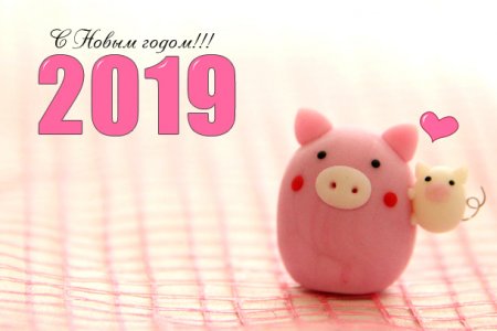 Новый год 2019: характеристика года, год кого 2019, чем заняться в 2019 году