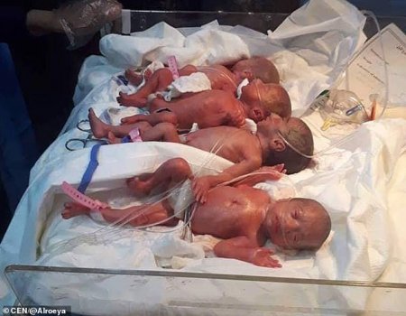 Женщина из Ирака второй в мире родила 7 детей